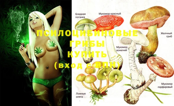 круглые Алзамай