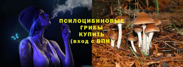 круглые Алексеевка